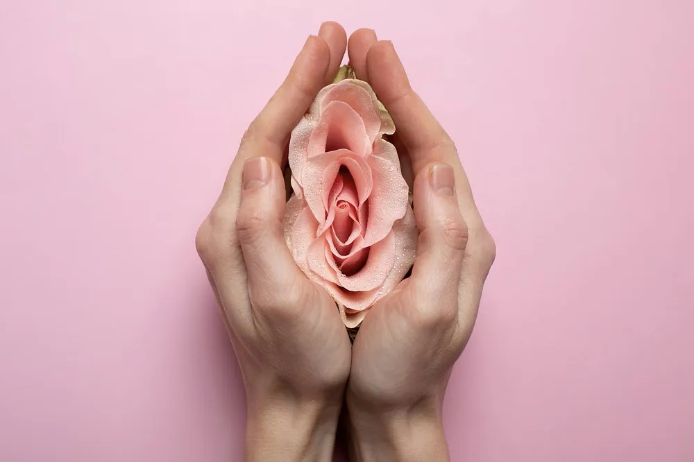Mulheres: climatério tratado proporciona qualidade de vida e posterga a menopausa
