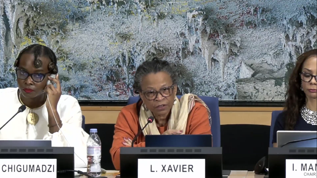 Organização brasileira cobra compromissos concretos contra o racismo em Fórum da ONU