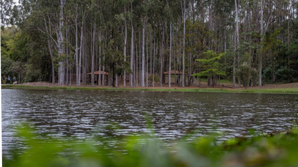 "Vem pro Horto", programa de educação ambiental, completa 10 anos com edição especial em Piracicaba