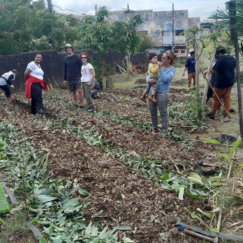 Projeto viabiliza uso do resíduo de podas de árvores na agricultura familiar em Piracicaba (SP)