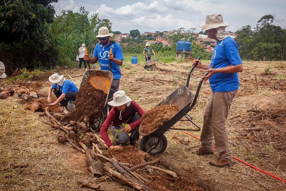 “Corredor Caipira” planta 1.300 mudas de diferentes espécies vegetais em dois mutirões em Piracicaba (SP)