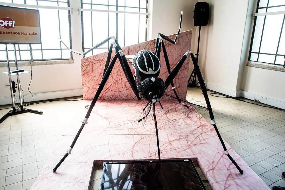 Dengue: dados do Ministério da Saúde mostram um aumento de 16,5% no número de casos no País