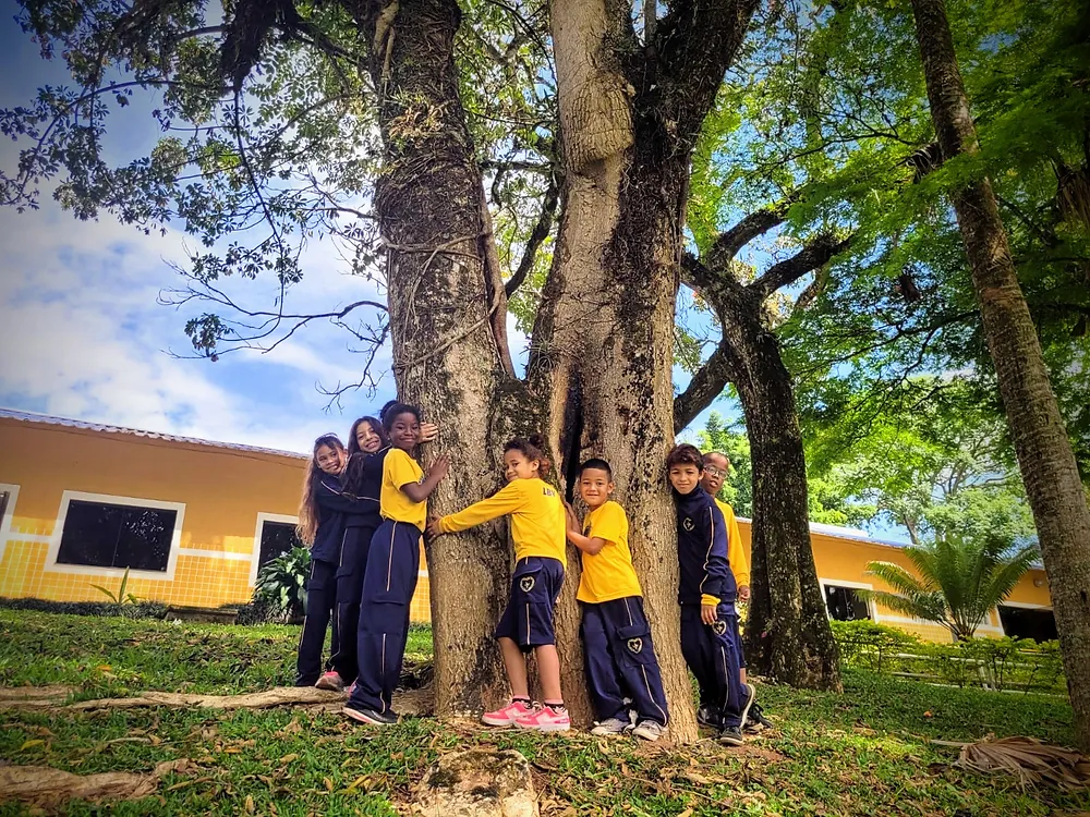 Setembro: Legião da Boa Vontade celebra o início da primavera e o mês da árvore