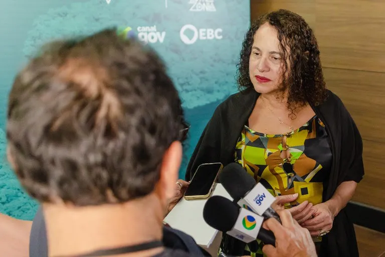 Brasil vai transferir tecnologia de monitoramento para países amazônicos, diz ministra do MCTI