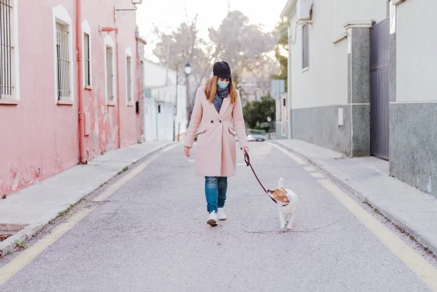 Pandemia de coronavírus: cuidados básicos para se ter com cães e gatos