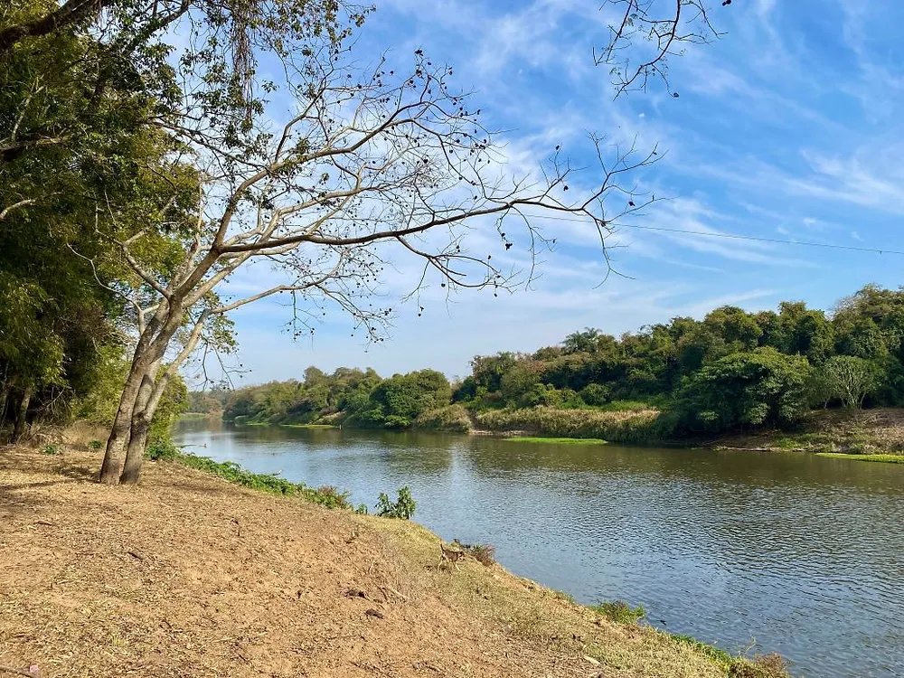 Sema recebe recursos para restauração ecológica em 11 propriedades da zona rural de Piracicaba