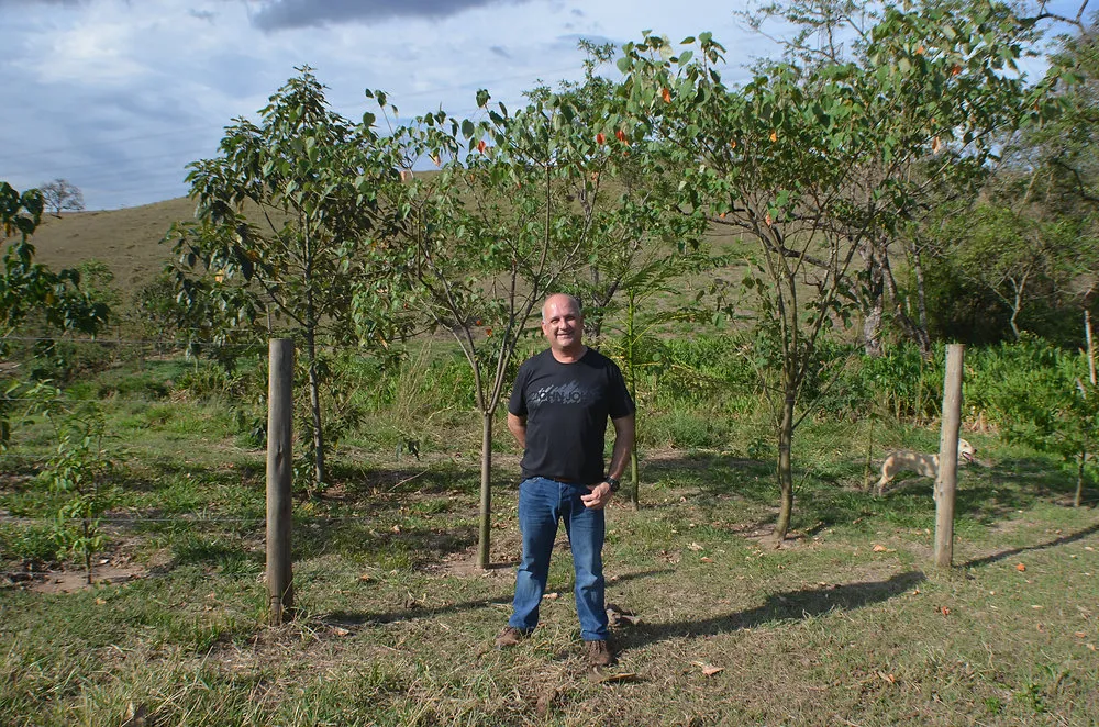 Piracicaba (SP): programa incentiva restauração da vegetação nativa e preservação de nascentes em 21 hectares de APPs