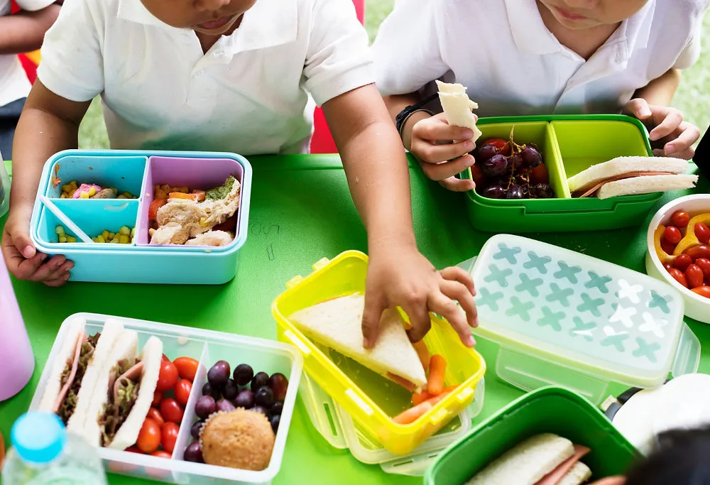Volta às aulas: como preparar uma lancheira completa e nutritiva em cinco passos