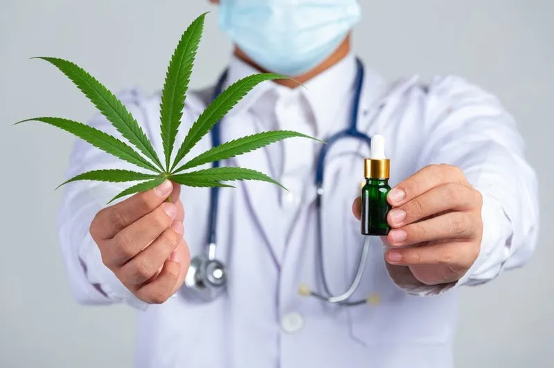 Demências, epilepsia e câncer estão entre as doenças que podem ter melhoras com uso de canabidiol