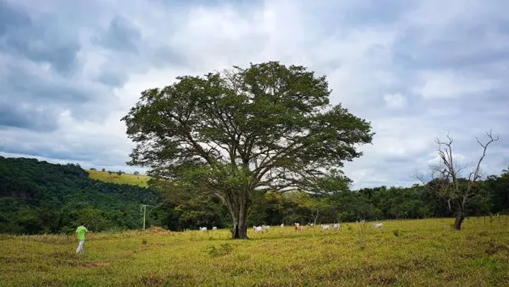 Concurso fotográfico do “Corredor Caipira” visa evidenciar questão ambiental e cultura local